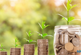 Small Business Pricing in Nepal: How to Set Rates That Do Not Leave Money on the Table